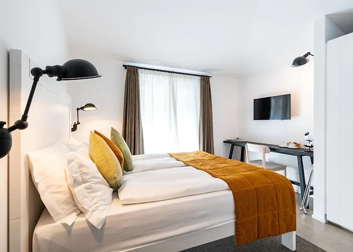 Seta
